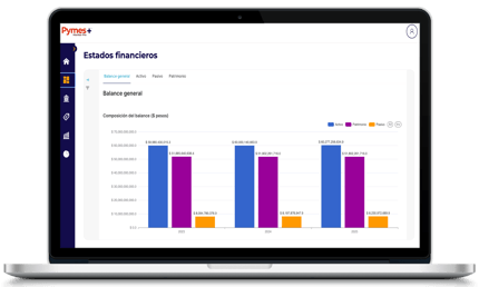 Balance general en Pymes+ Monitor Pro